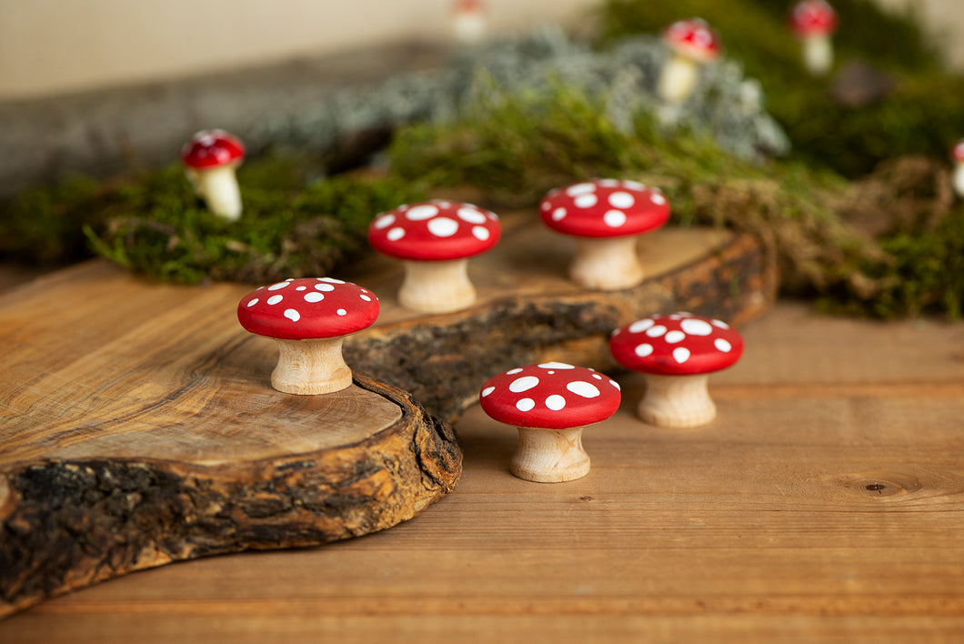 Mushroom Set - 5