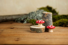 Load image into Gallery viewer, Mushroom Set - 5
