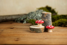 Load image into Gallery viewer, Mushroom Set - 5
